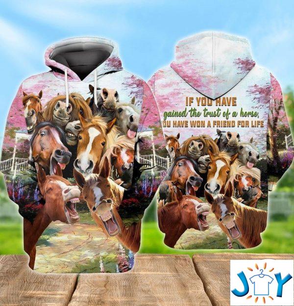if you have gained the trust of a horse you have won a friend for life d hoodie