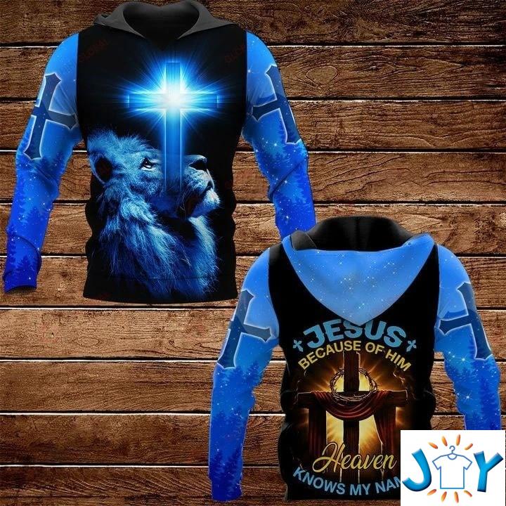 Jesus Because Of Him Heaven Knows My Name Lion 3D All Over Print Hoodie