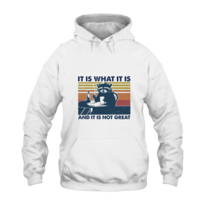 Raccoon It Is What It Is Hoodie