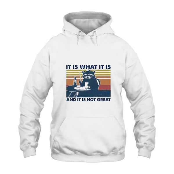 Raccoon It Is What It Is Hoodie